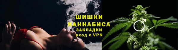 стаф Осташков