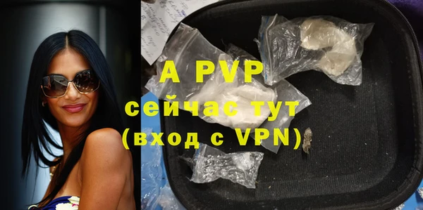 стаф Осташков